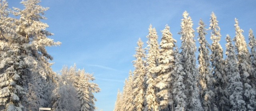 Vinter